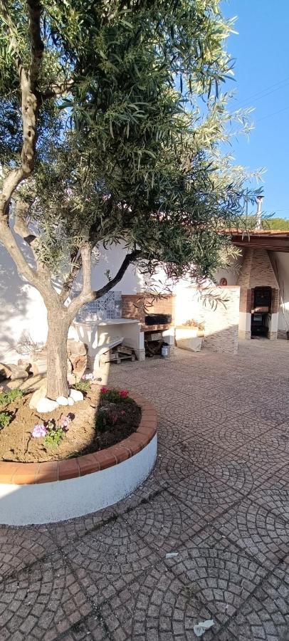 Villa Luisa Il Giardino Sul Mare *